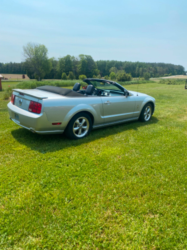 Ford.Mustang convertible in Cars & Trucks in Barrie - Image 2