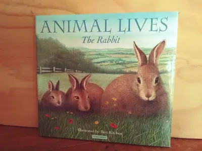 'ANIMAL LIVES: The Rabbit' Hardcover, View more