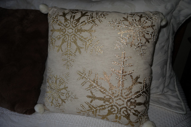 Accent Pillows in Holiday, Event & Seasonal in Kamloops - Image 3