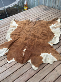 Cow hide 