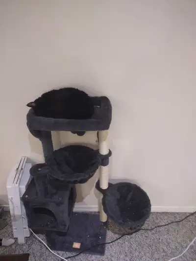 cat scratching post , View more