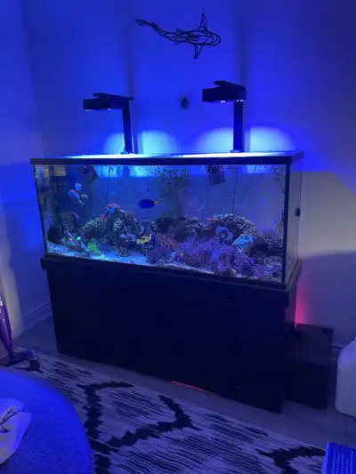 FREE Large Aquarium Removal (120 Gallons and Up) Do you have a large fish tank you want gone? I will...