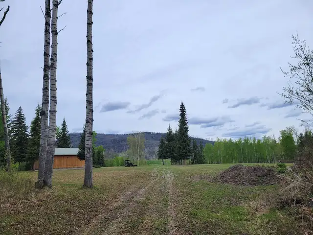 Vacant Land. in Land for Sale in Burns Lake - Image 5