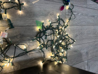 Christmas LED lights warm and bright white