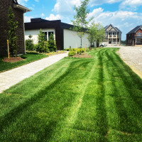 Professional Lawn Cutting - Commercial/Residential