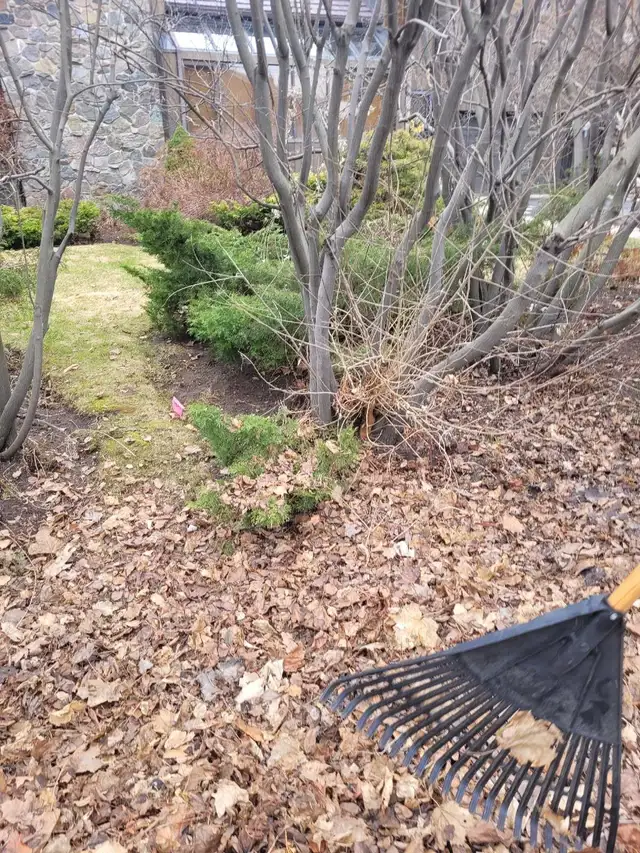 landscaping & lawn maintenance  in Lawn, Tree Maintenance & Eavestrough in City of Toronto - Image 6