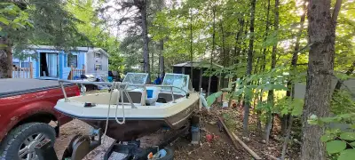 1967 Peterborough 17ft with 85 hp Johnson as nee marine carpet and new seat spend 700$ the boat run...