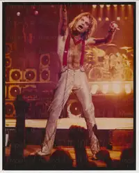 David Lee Roth Live in Concert -Van Halen Band Photo-1978
