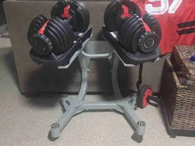 Bowflex Adjustable Dumbbells 5-52.5 Comes with stand