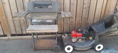 charcoal & Gas BBQ, View more