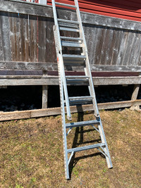 Combination step/extension ladder