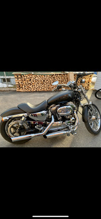 Harley Davidson Sporster 1200 custom