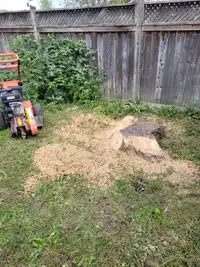 Cheapest Stump Grinding and Hedge removal