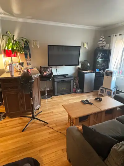 Verdun - (5 1/2) Spacious, newly renovated!