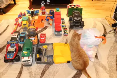 HUGE  55 TOY LOT PAW PATROL SPIDERMAN HOT WHEELS DAYCARE+FREE LE, View more