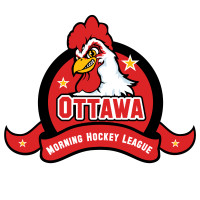 Ottawa Morning Hockey Looking for Players