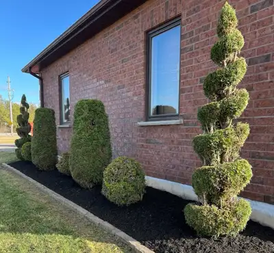 Landscape Design & Maintenance, View more