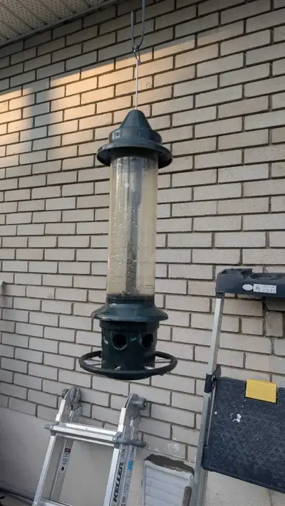 Mangeoire pour oiseaux, anti écureuil, Brome garantie à vie, View more