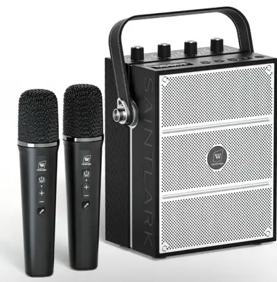100W Powerful Voice Amplifier with 2 Wireless Microphones , View more