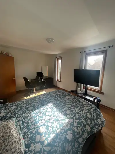 1 bedroom apartment