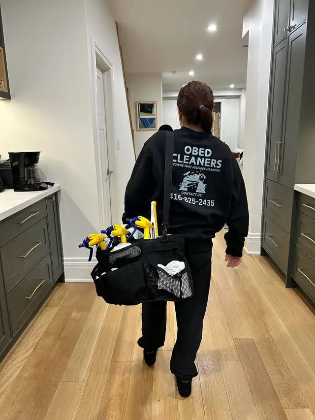 PROFESIONAL CLEANING 603224664976936962