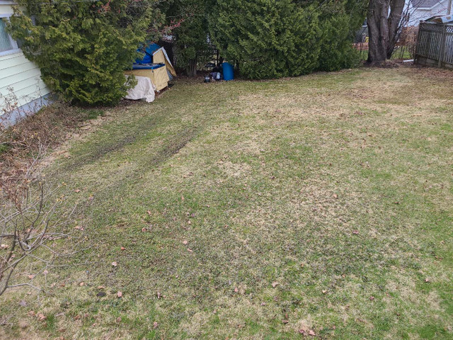 Lawn care services in Other in North Bay