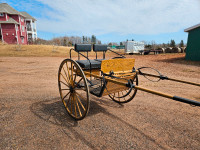 Horse cart - Marathon cart