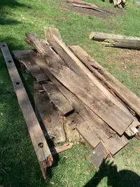 Free old rotting barn boards 