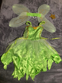 Kid’s Fairy Costume 
