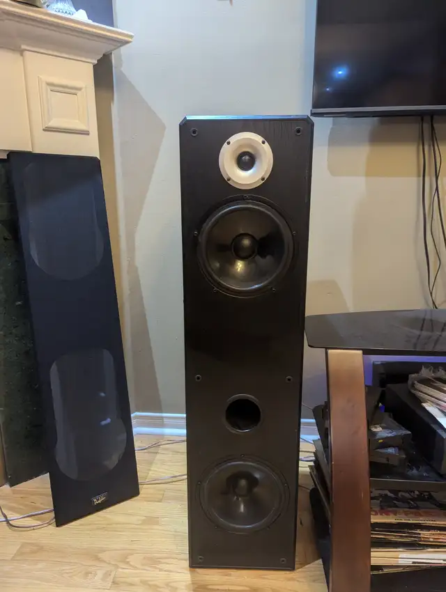 USED ACOUSTIC PROFILE 88.7 FLOOR SPEAKERS GOOD WORKING in Speakers in Markham / York Region - Image 2