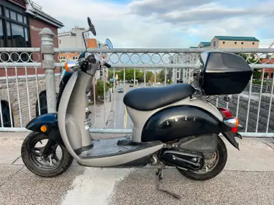 2008 Honda CHF50 Jazz/Metropolitan Gothic Black I have for sale an excellent-condition 2008 Honda CH...