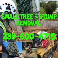 TREE AND STUMP REMOVAL. EAST TO WEST ALL GTA.
