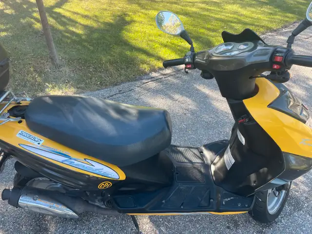 Scooter/Moped in Scooters & Pocket Bikes in Winnipeg - Image 7