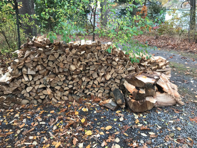 Maple firewood in Other in Kingston - Image 3