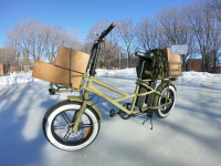 Cargo Ebike - 2 batteries! Tons of storage!