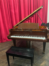 Rare Rieger-Kloss Baby Grand Piano