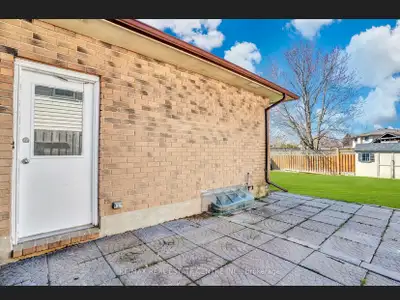 one room basement for rent