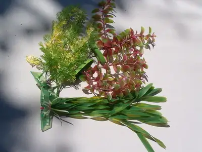 fish tank aquarium plants ,sea shells ,, View more