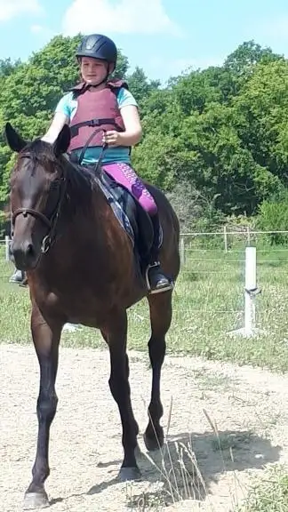 Horse Riding