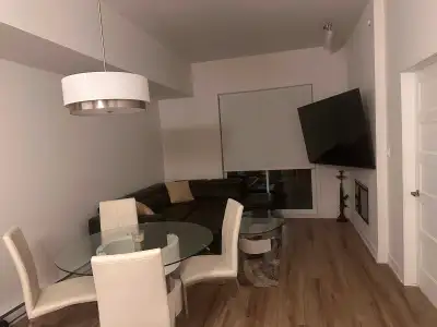 1 BEDROOM + DEN PENTHOUSE APARTMENT FOR RENT AUG 1st-MAY 1st