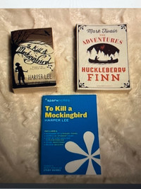 To Kill a Mockingbird, Huckleberry Finn Sparks Notes