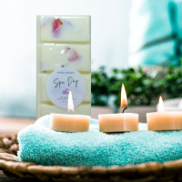 Spa Day All Summer Long Scented Soy Wax Melt Bars