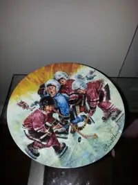 Hockey plates