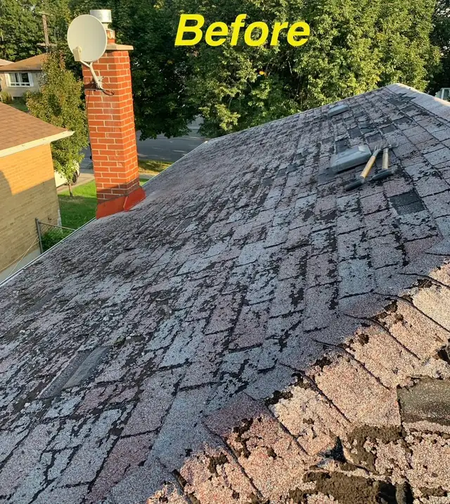 Roof repair & Shingle replacement 568795694786816002