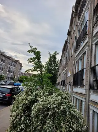 Big condo for sale in recent 4plex, just 2km from Downtown Mtl