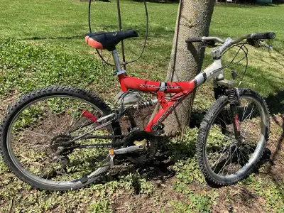 24 inch tires dual suspension tuned up at bicycle shop Erin Hillsburgh area