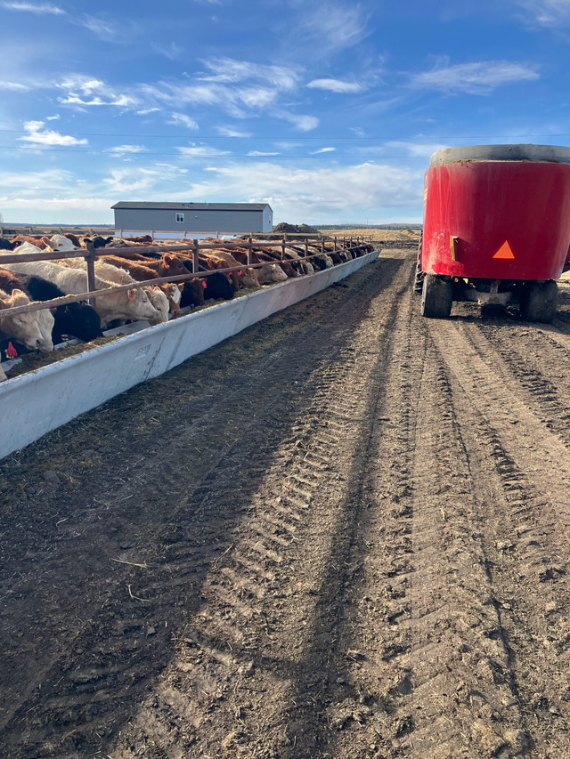 Land to Rent in Livestock in Red Deer - Image 2