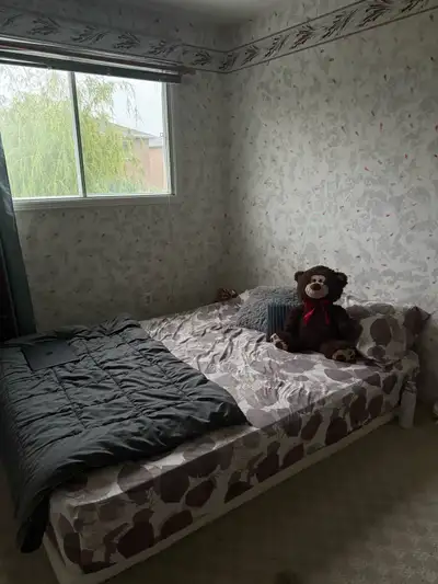 Available room for rent in sharing for girl