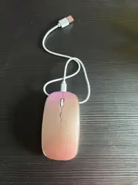 Computer mouse