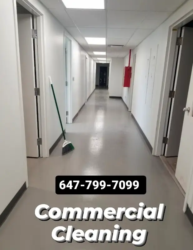 Commercial Cleaning Post Construction Cleaning Renovation 24/762863723232257123